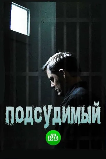 Подсудимый. Сериал (2019) Подсудимый. Сериал (2019)