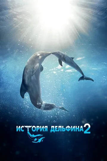 История дельфина 2 (2014) История дельфина 2 (2014)