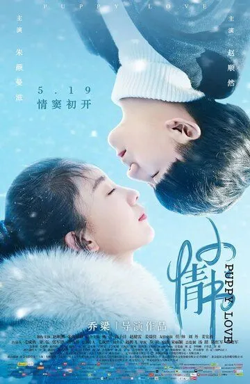Щенячья любовь (2017) Щенячья любовь (2017)