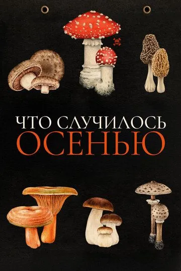 Что случилось осенью (2024) Что случилось осенью (2024)