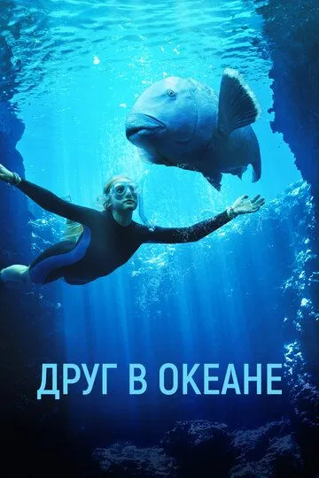 Друг в океане (2022) Друг в океане (2022)