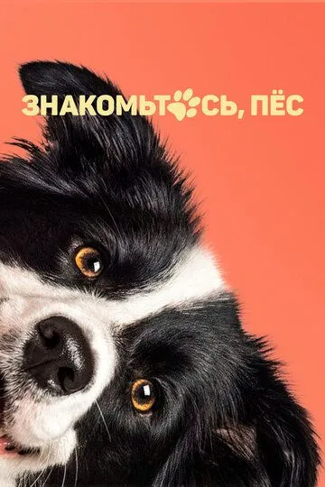 Знакомьтесь, пёс (2022) Знакомьтесь, пёс (2022)