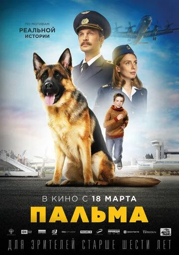 Пальма (2020) Пальма (2020)