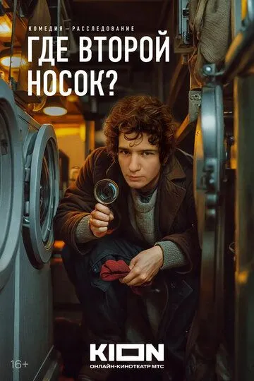 Где второй носок? (2024) Где второй носок? (2024)