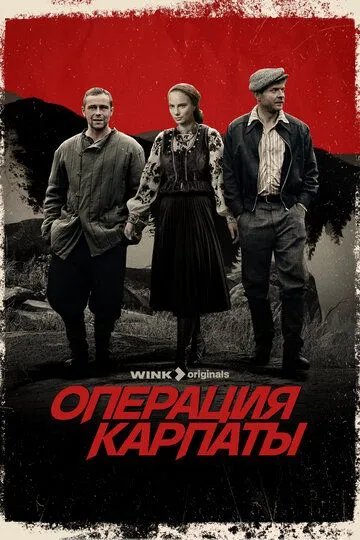 Операция «Карпаты» (2024) Операция «Карпаты» (2024)