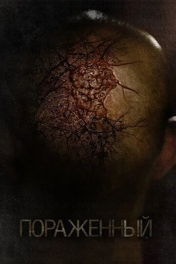 Фильм. Пораженный (2013) Фильм. Пораженный (2013)