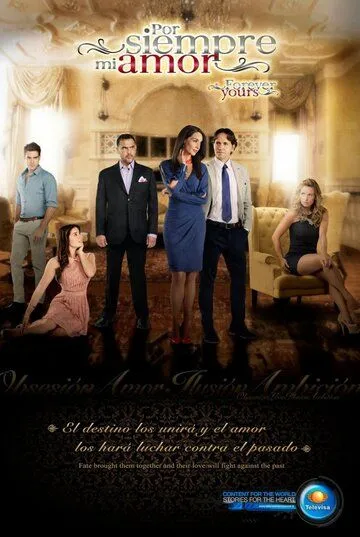 Моя любовь навсегда (2013) Моя любовь навсегда (2013)