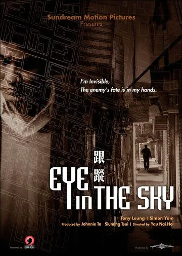 Око небесное (2007)  Око небесное (2007)