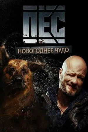 Пёс. Новогоднее чудо (2018) Пёс. Новогоднее чудо (2018)