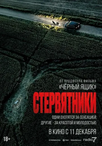 Стервятники (2025) 